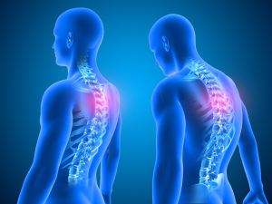 A 3D illustration of a human spine highlighting neck and back areas, emphasising the benefits and usage of orthopedic pillows for neck pain relief.