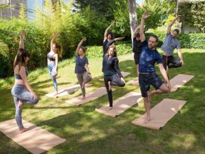 Group of people practicing yoga outdoors on durable exercise mats placed on grass, showcasing the portability and utility of exercise mat