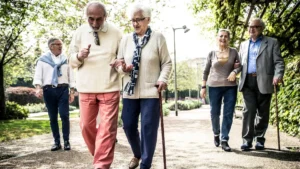 A group of elderly friends walking in the park using walking sticks and walking canes for additional support and confidence.