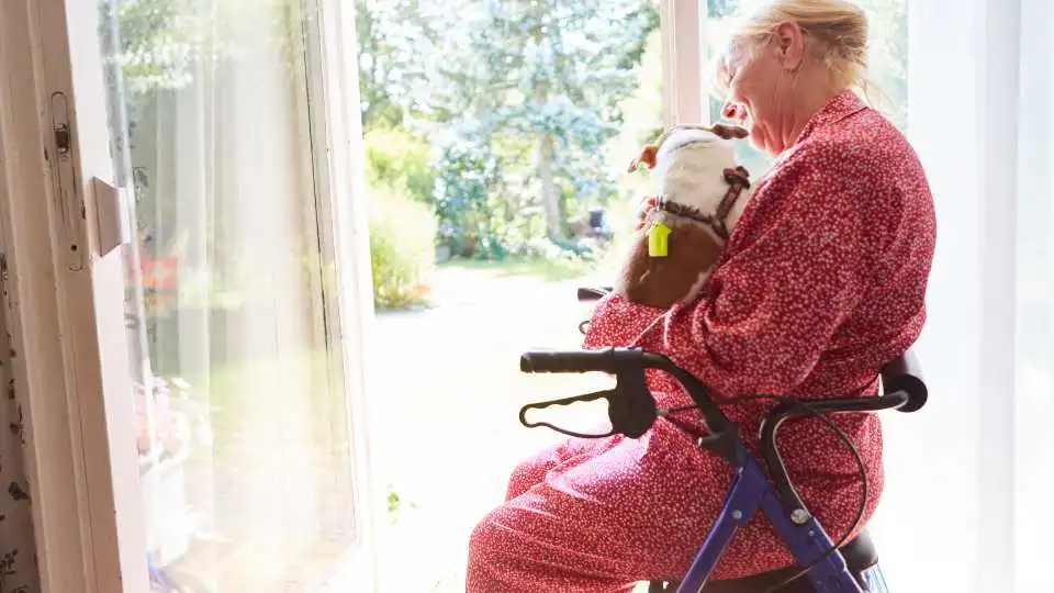 A senior lady sitting on her rollator at home while holding her dog and watching out the window.